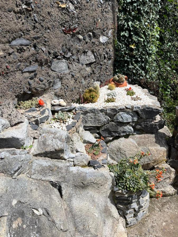 Villa Tropical House Ribeira Brava Exterior foto