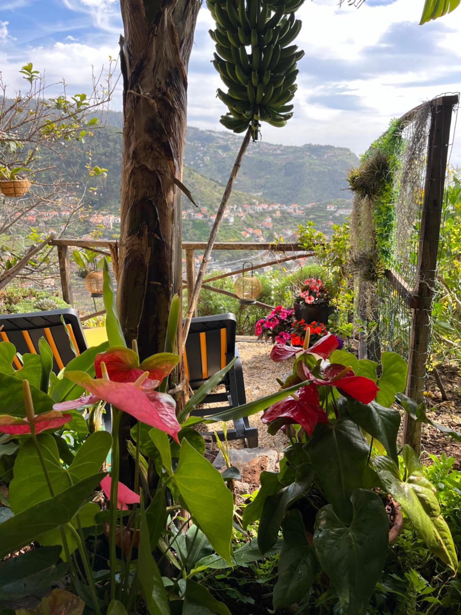 Villa Tropical House Ribeira Brava Exterior foto