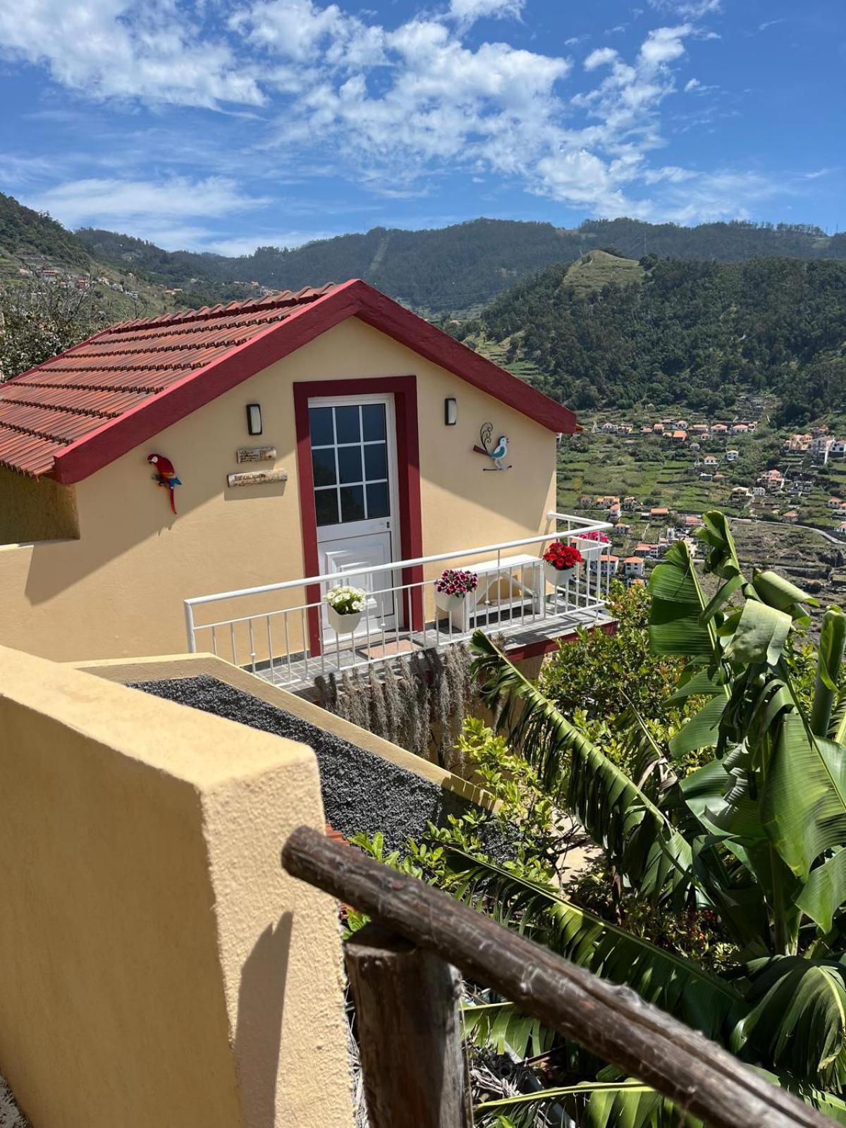 Villa Tropical House Ribeira Brava Exterior foto